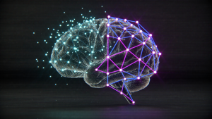 The Protégé Effect connects information in the brain, helping you learn anything faster.