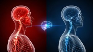 Understanding your biological adrenaline response is the first step to master public speaking.