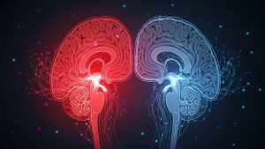 Controlling the Amygdala Hijack is a core component of the emotional intelligence vs IQ debate.