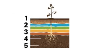 Inversion mental models help solve complex problems by thinking backwards, boosting critical thinking skills.