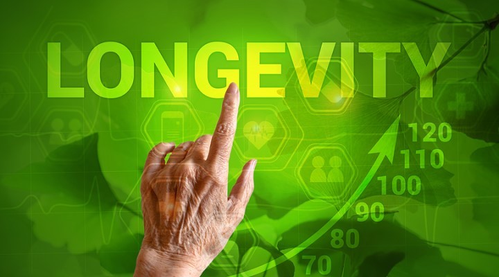 Why Business Longevity Matters More Than Hype